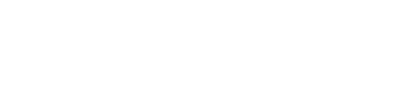 CustomCode Srl