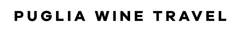Logo The Wine Valley